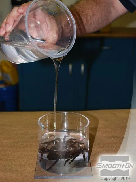 19847 tarantula molt close up