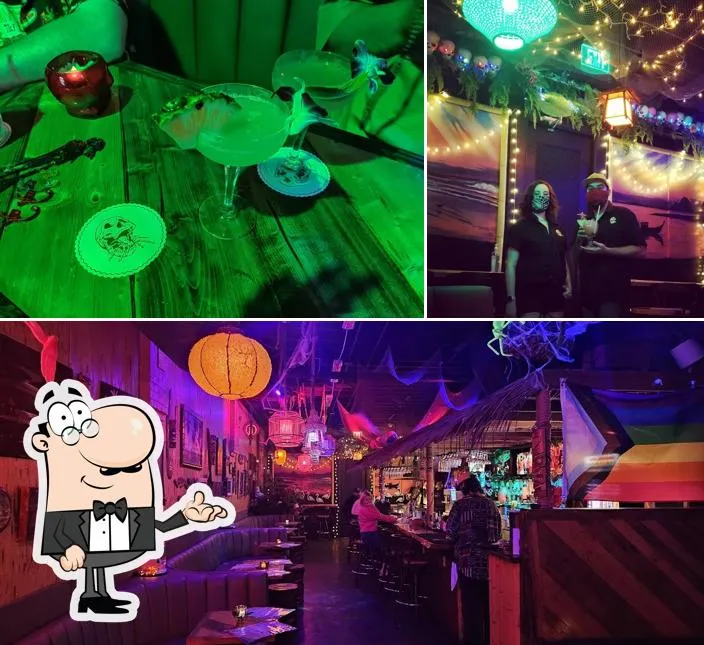 19849 tarantula feeding