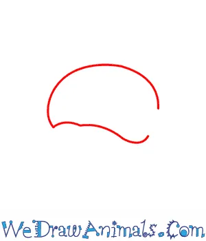 19854 tarantula eyes fangs