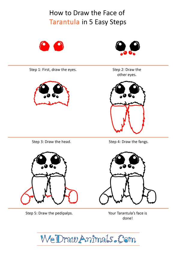 19854 tarantula shading