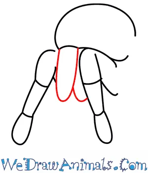 19854 tarantula texture