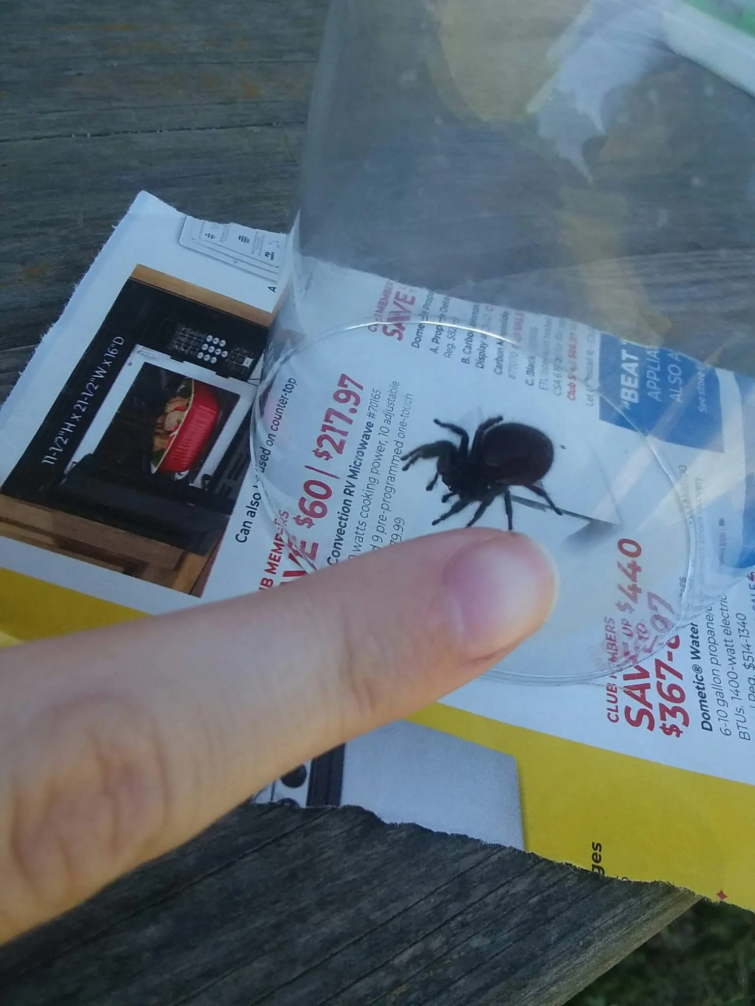 19855 tarantula cleaning tank