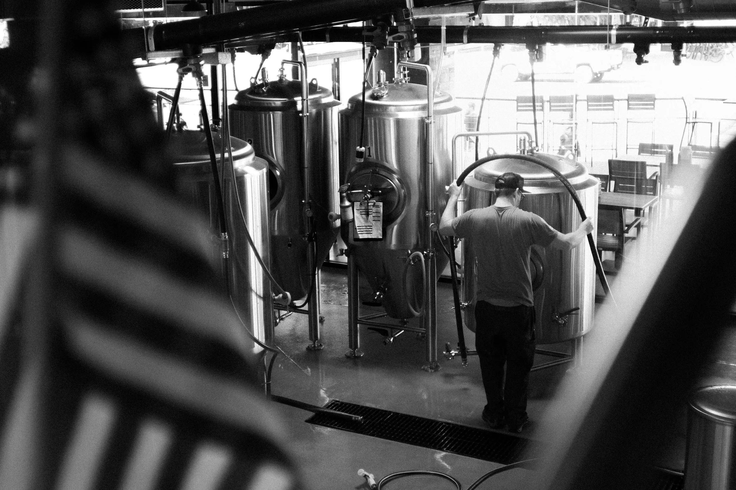 19864 tarantula hill beers variety