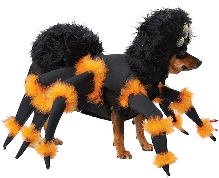 19877 dog tarantula costume body
