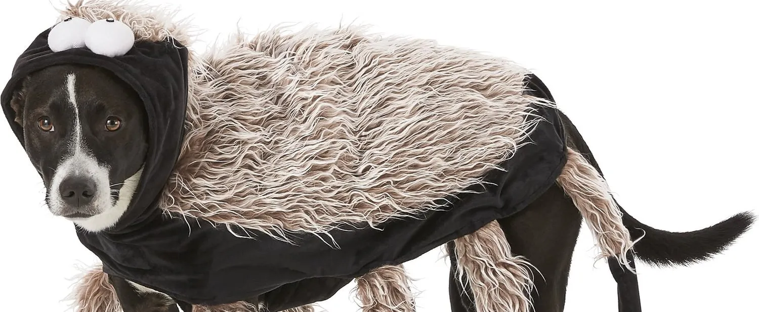 /img/19877-dog-tarantula-costume-finished.webp