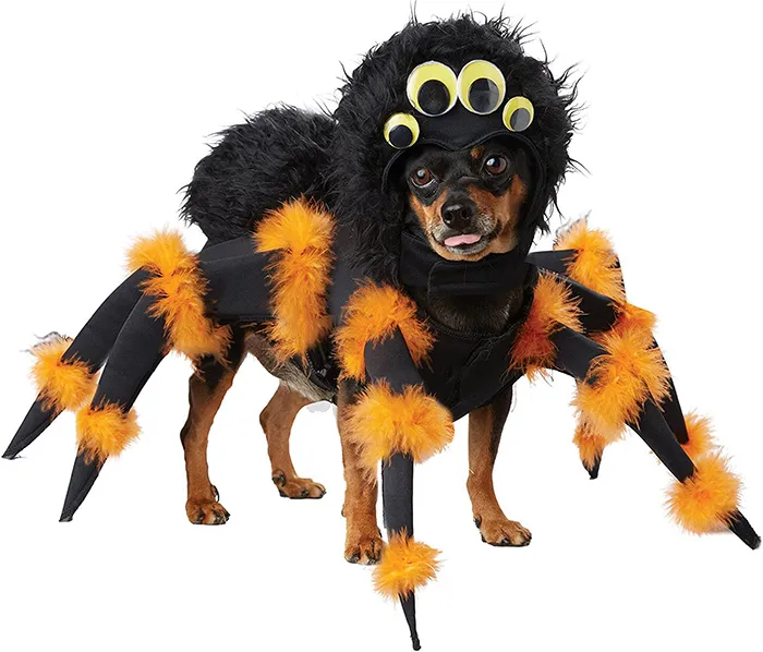 19877 dog tarantula costume legs