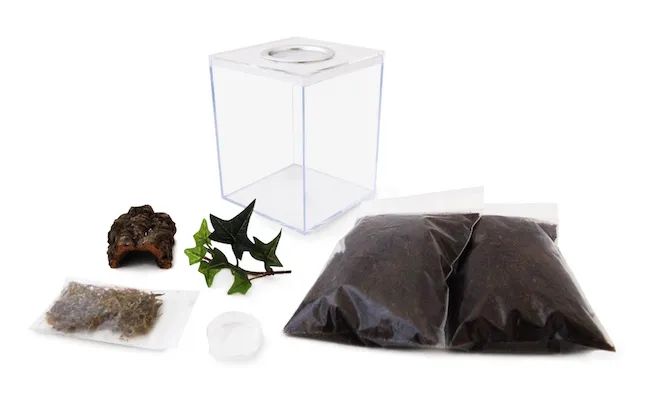 19882 tarantula substrate options