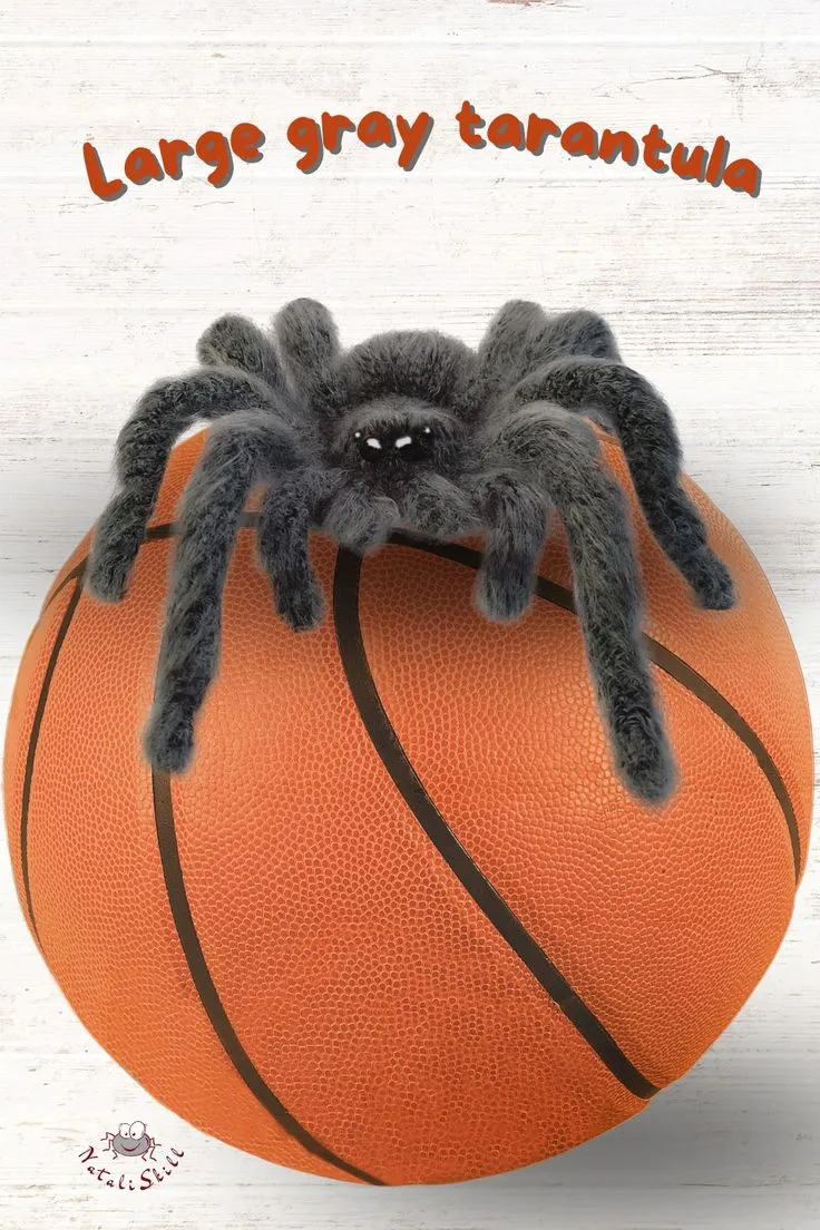 19904 tarantula hunting strategies